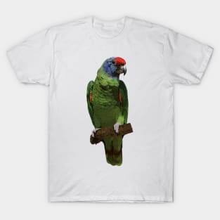 Red-tailed Amazon T-Shirt